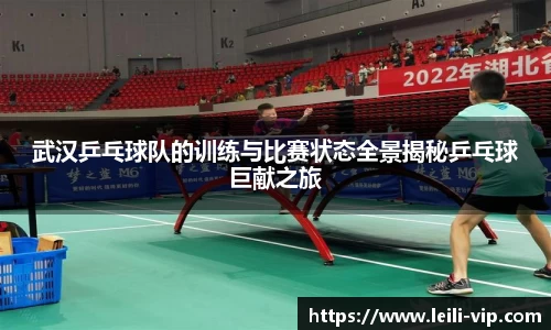 武汉乒乓球队的训练与比赛状态全景揭秘乒乓球巨献之旅
