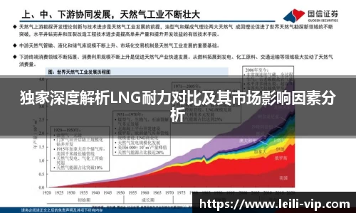 独家深度解析LNG耐力对比及其市场影响因素分析