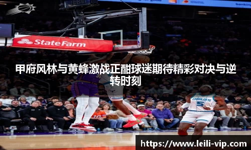 zoty中欧体育网站